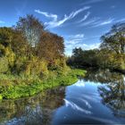 Herbst in der Elsteraue