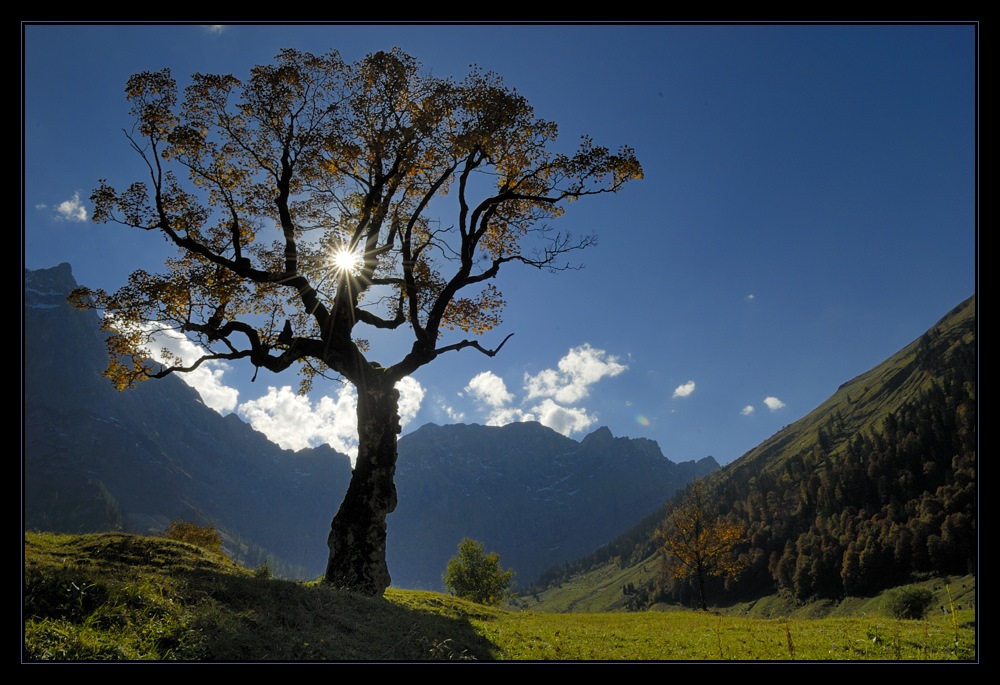 Herbst in der Eng