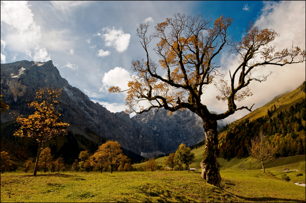 Herbst in der Eng