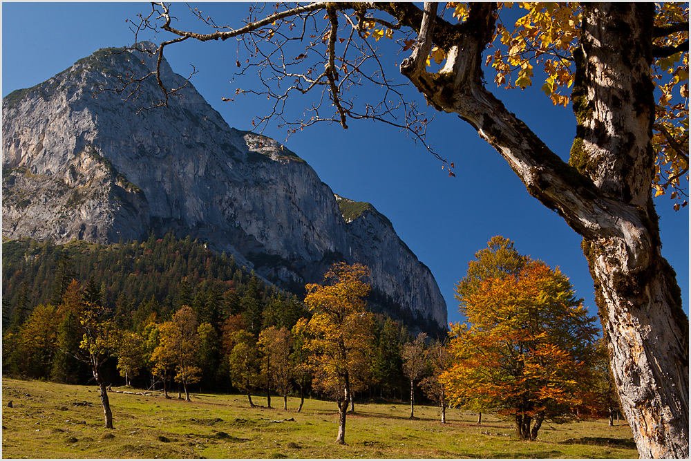 Herbst in der Eng