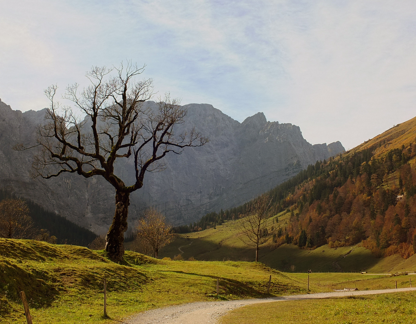 Herbst in der Eng