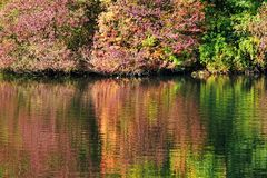 Herbst in der Ennepe-Aue - Farbenspiele