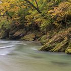 Herbst in der Erlaufschlucht ...