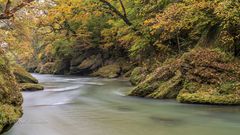 Herbst in der Erlaufschlucht ...