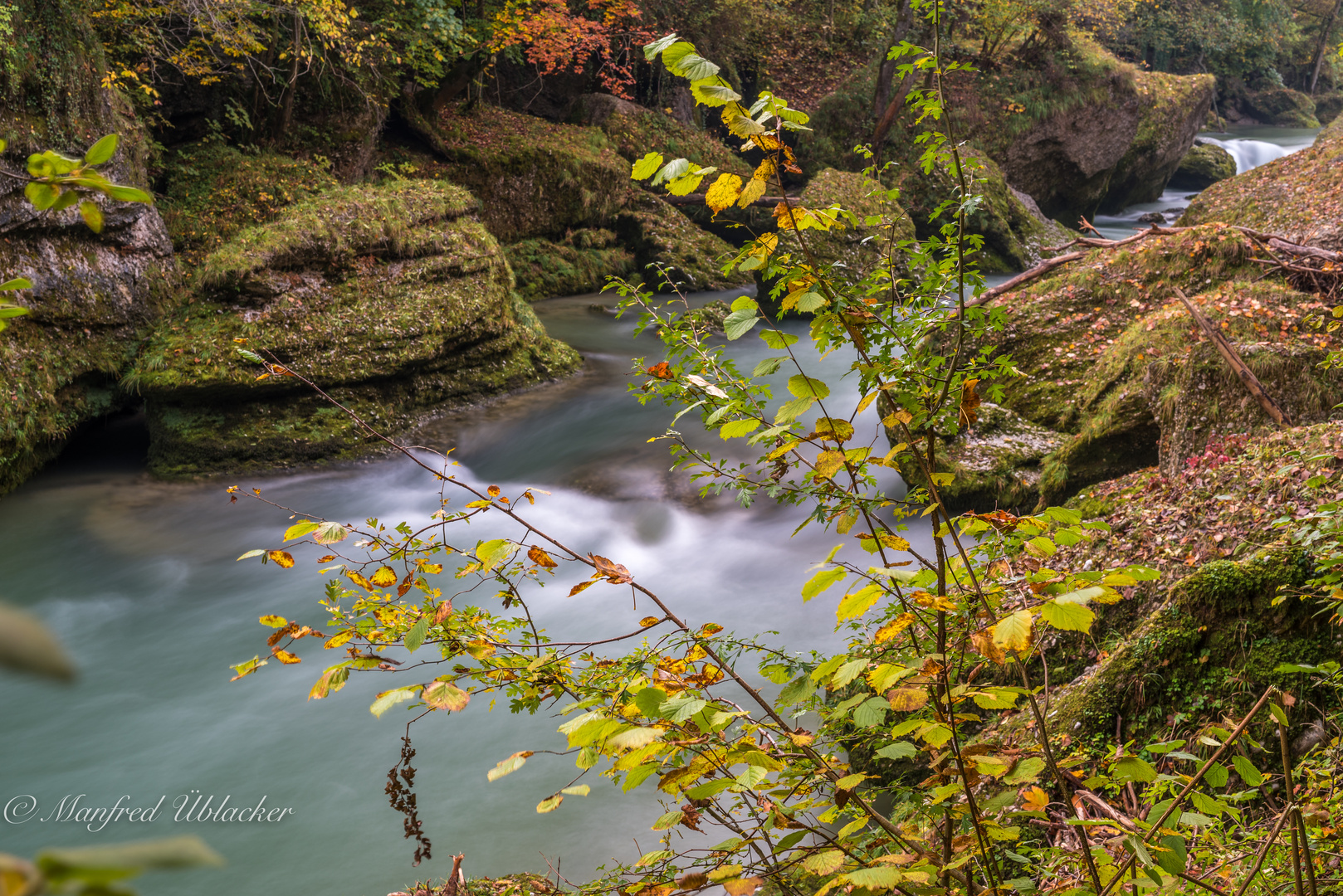 Herbst in der Erlaufschlucht ...