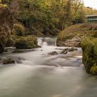 Herbst in der Erlaufschlucht ...