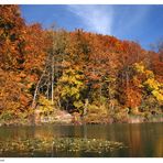 Herbst in der Ermitage