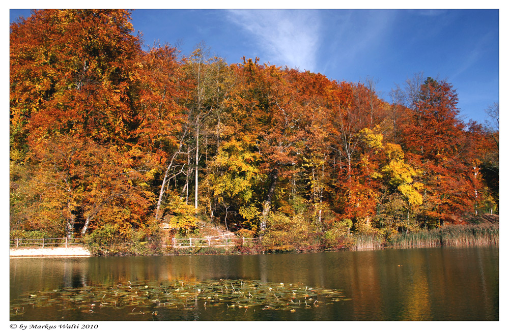 Herbst in der Ermitage