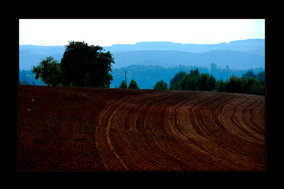 Herbst in der Fidei