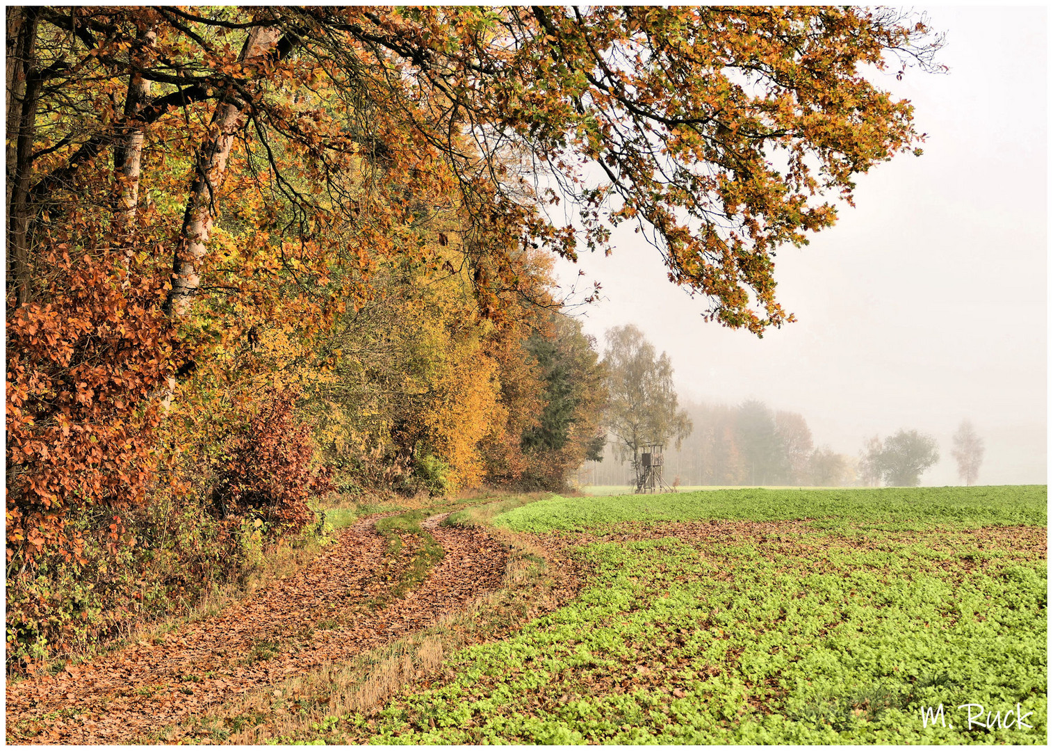 Herbst in der Flur 