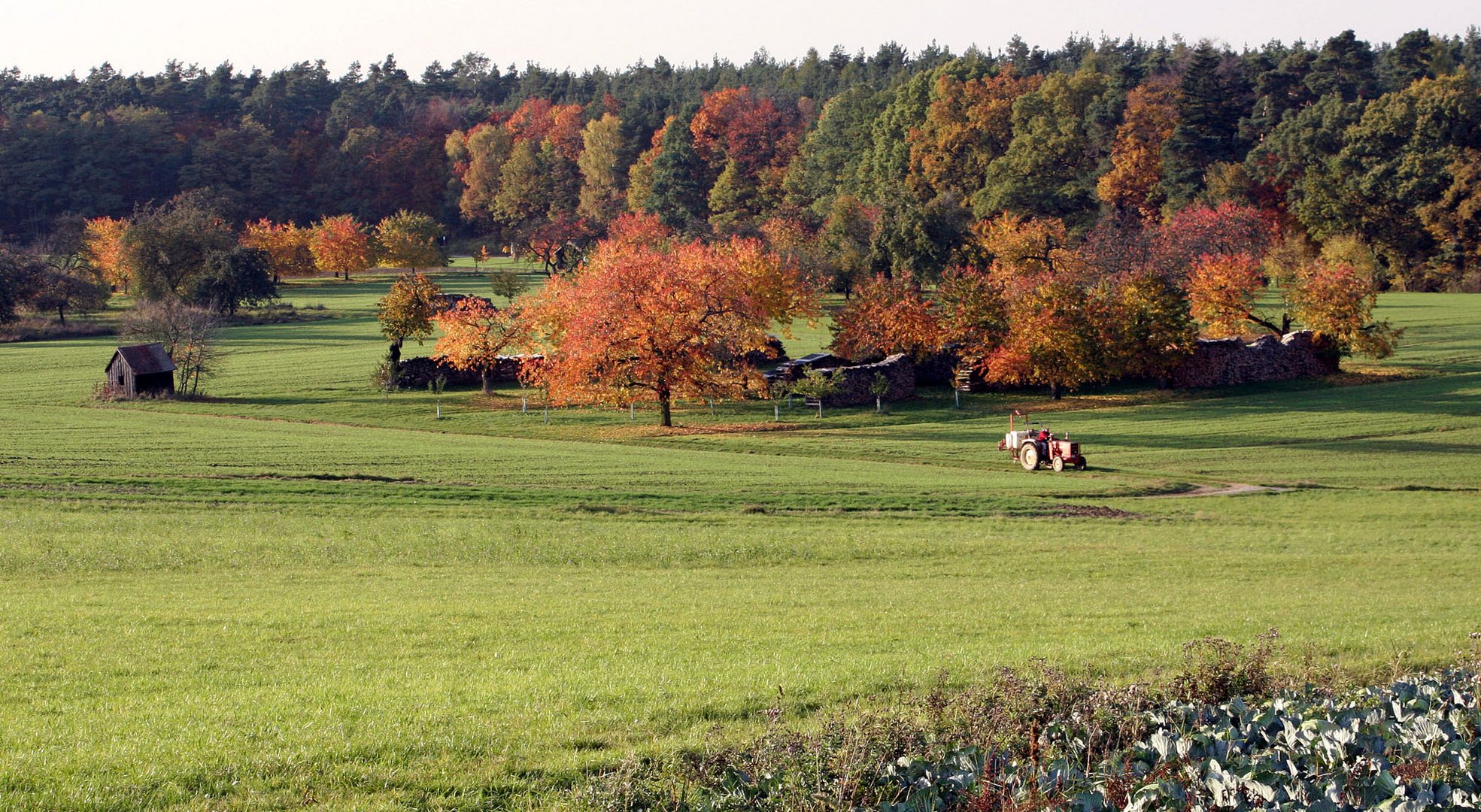 Herbst in der Fränkischen Schweiz