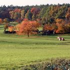 Herbst in der Fränkischen Schweiz