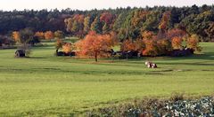 Herbst in der Fränkischen Schweiz