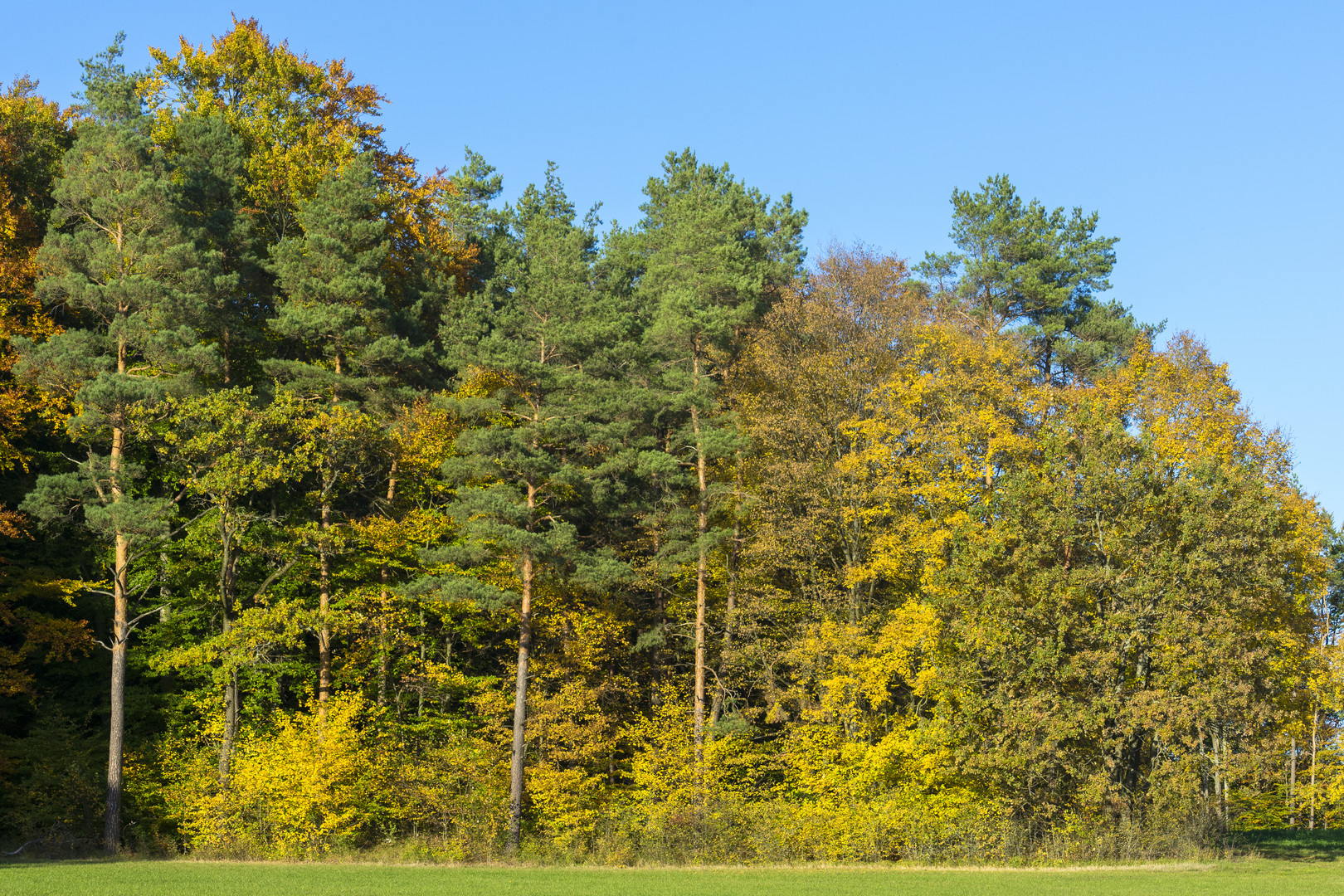 Herbst in der Fränkischen Schweiz