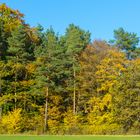 Herbst in der Fränkischen Schweiz