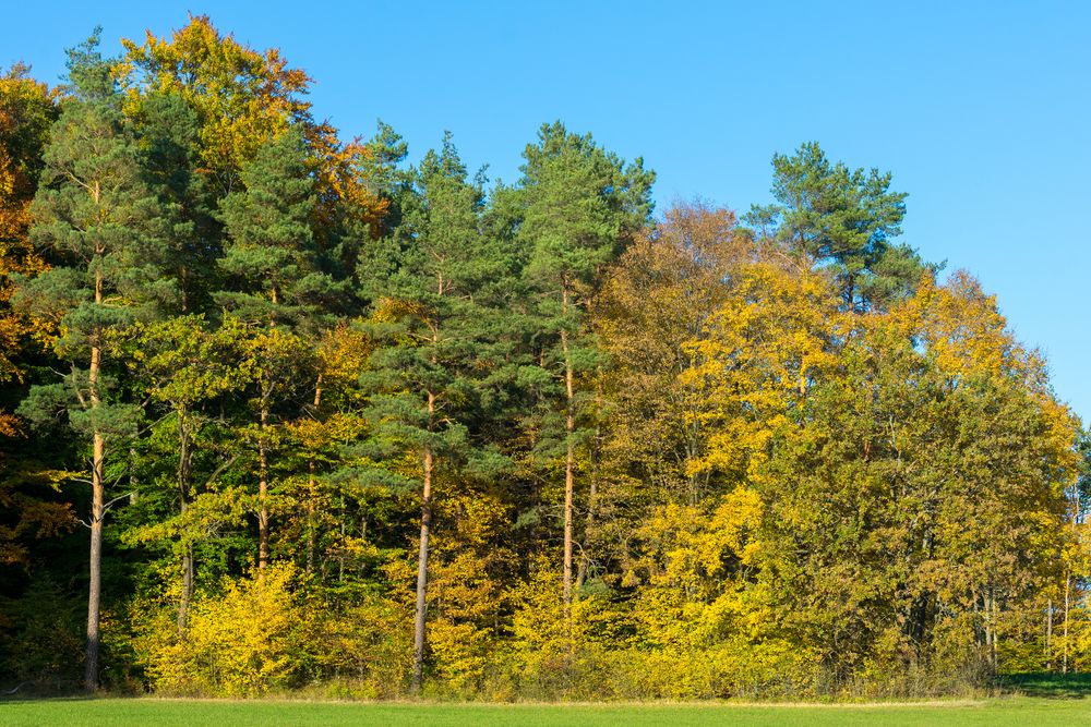 Herbst in der Fränkischen Schweiz