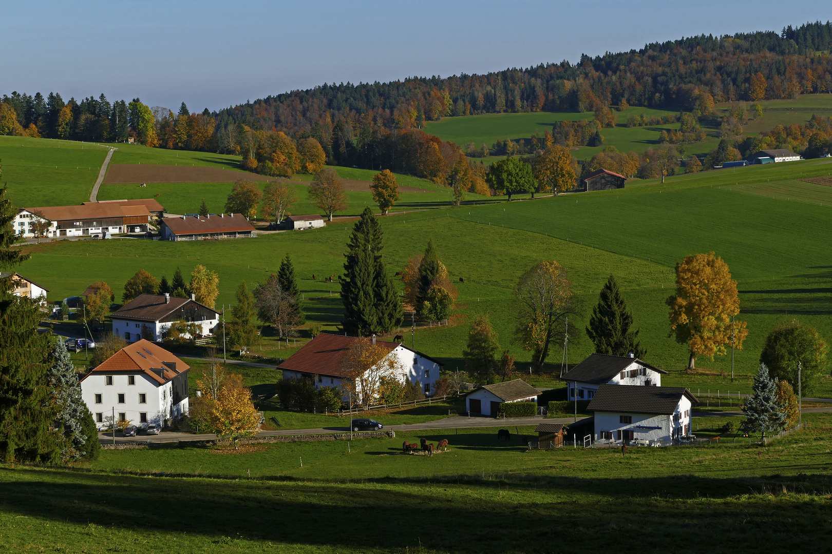 Herbst in der Freibergen