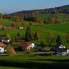 Herbst in der Freibergen