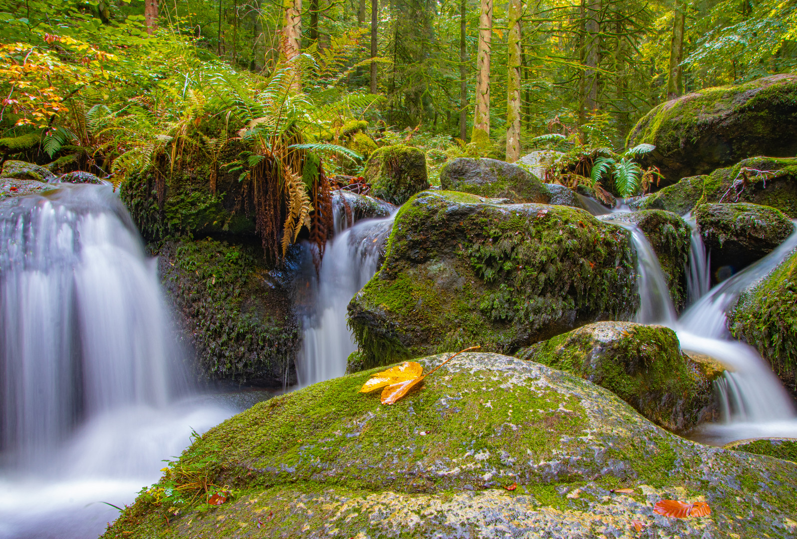 Herbst in der Gertelbachschlucht