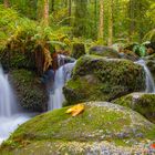 Herbst in der Gertelbachschlucht