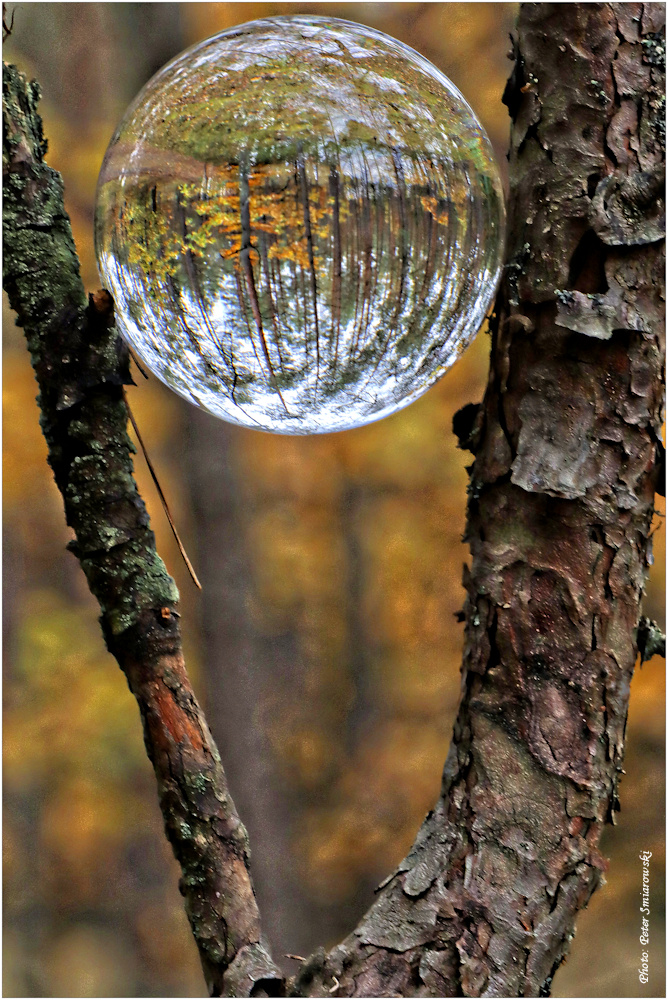 Herbst in der Glaskugel