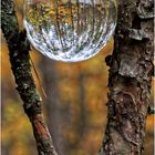 Herbst in der Glaskugel