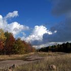 herbst in der goitzsche