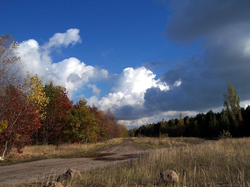 herbst in der goitzsche