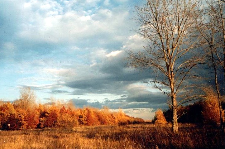 herbst in der goitzsche