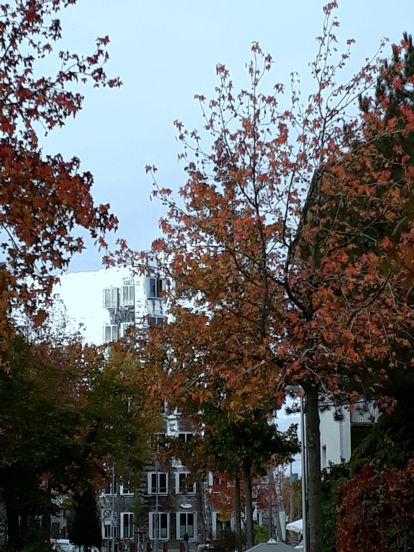 Herbst in der Großstadt