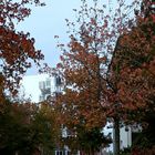 Herbst in der Großstadt