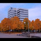 Herbst in der Günther Klotz Anlage....