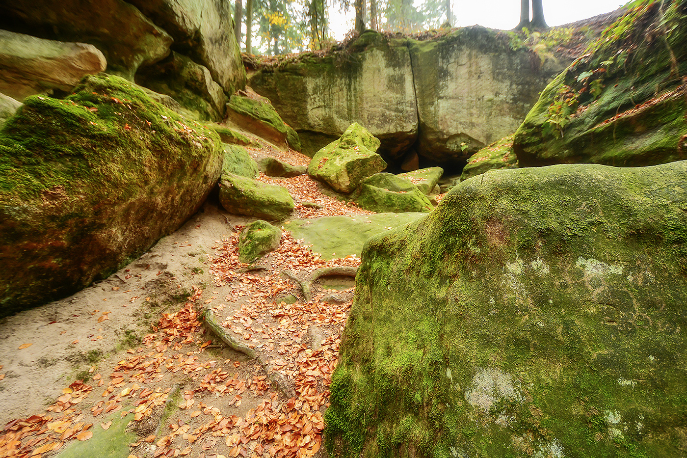 Herbst in der Hägelesklinge