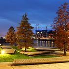 Herbst in der Hafencity