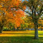 Herbst in der Hansestadt am Strelasund... 