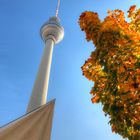 Herbst in der Hauptstadt