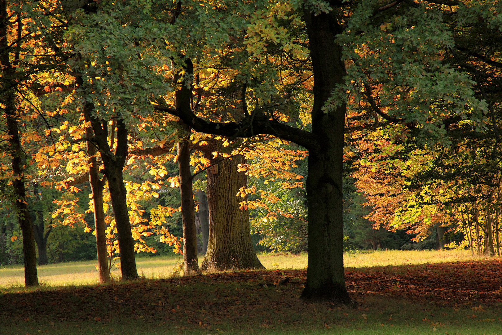 Herbst in der Hauptstadt