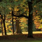 Herbst in der Hauptstadt