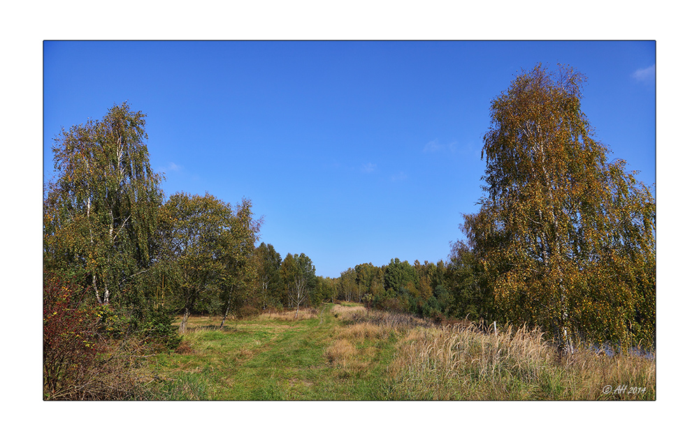 Herbst in der Heide - 1