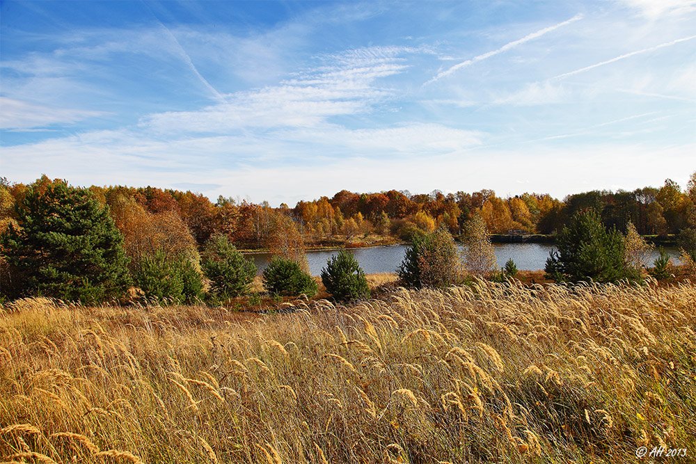 Herbst in der Heide - 1