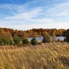 Herbst in der Heide - 1