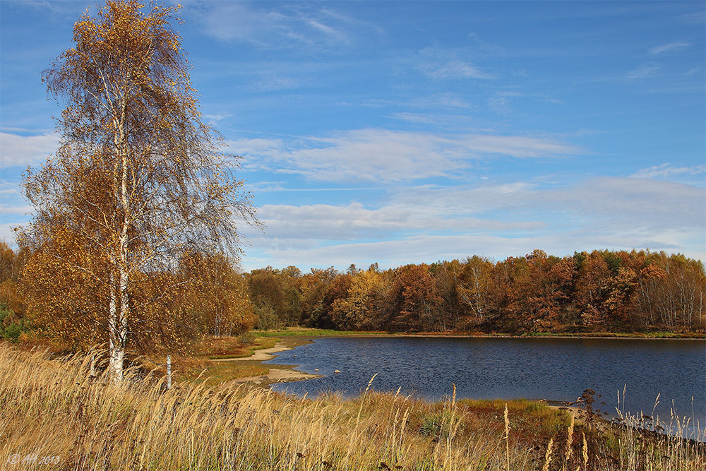 Herbst in der Heide - 2