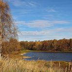 Herbst in der Heide - 2