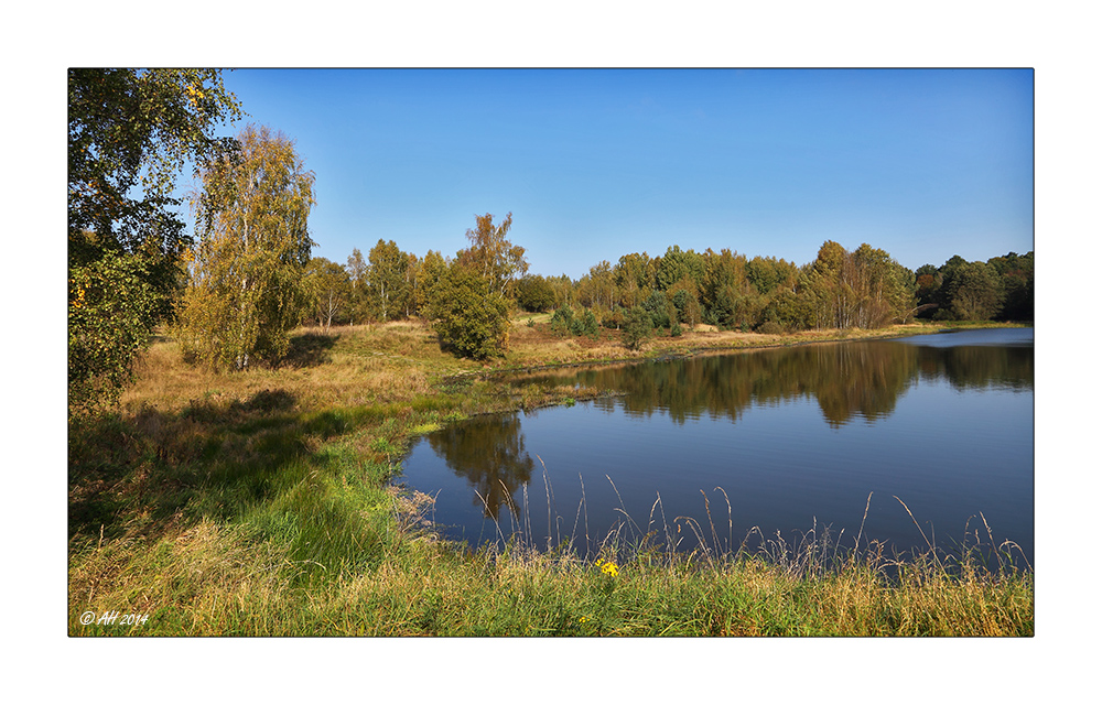 Herbst in der Heide - 2