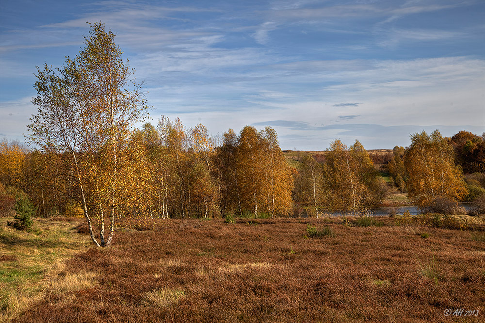 Herbst in der Heide - 3