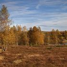 Herbst in der Heide - 3