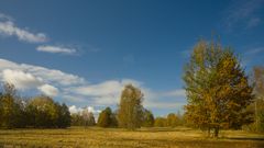 Herbst in der Heide