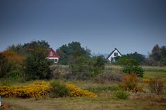 Herbst in der Heide