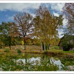 Herbst in der Heide