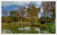 Herbst in der Heide